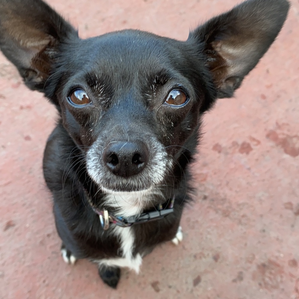 Meet your Posher, Lisa